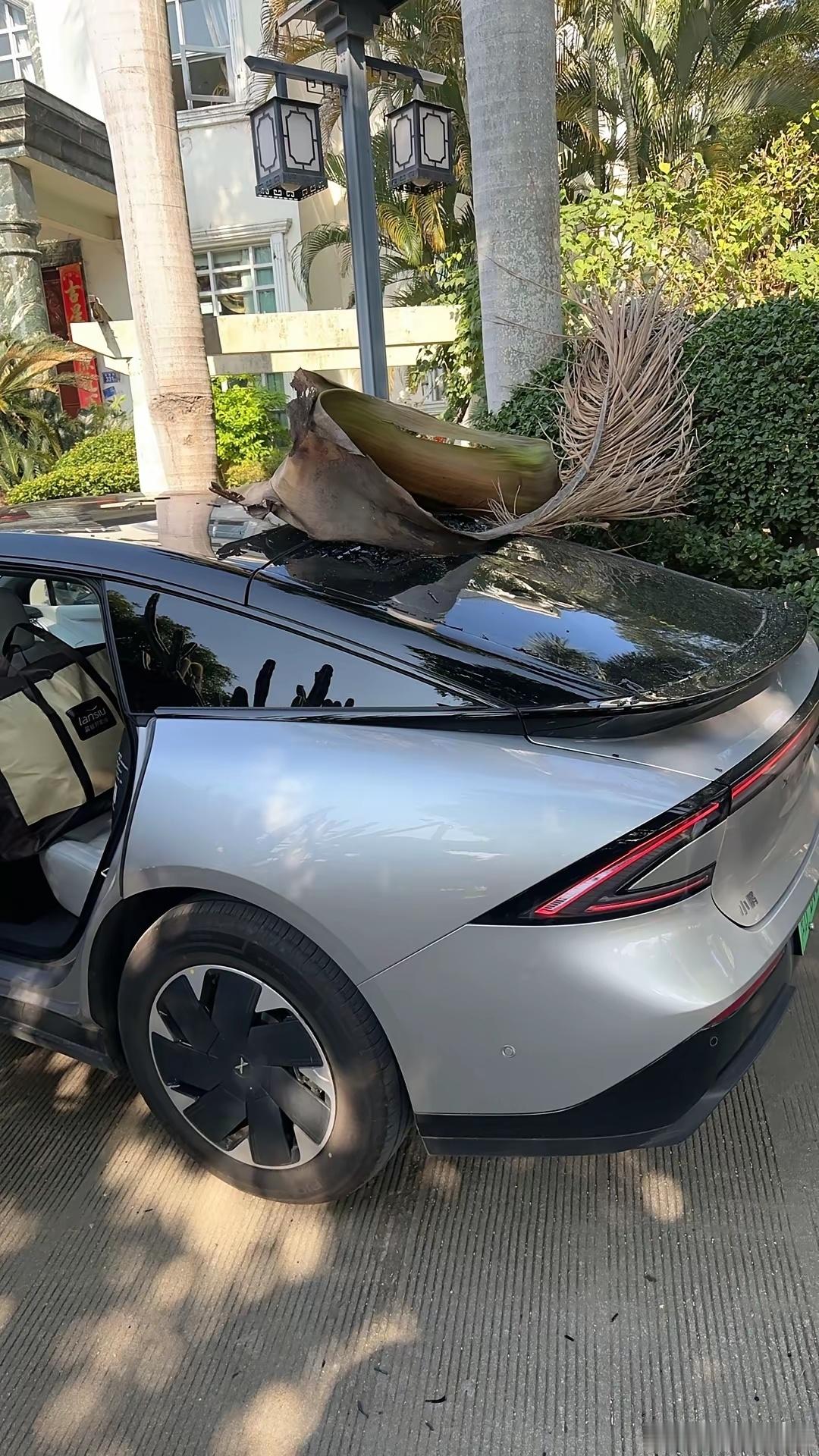 像这种情况，可以找市政或物业索赔吗？心疼小鹏P7+车主三秒。 