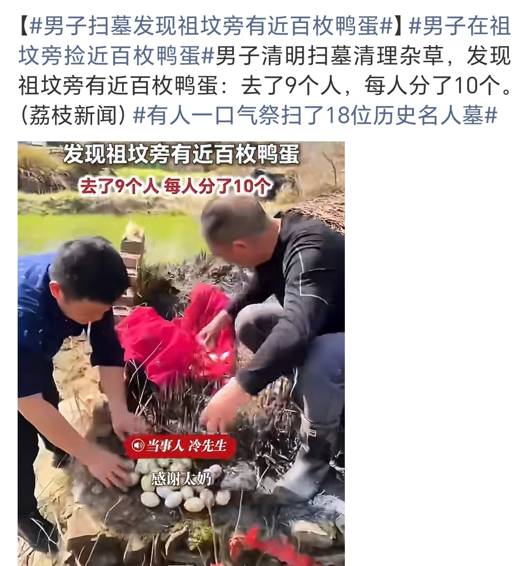 男子扫墓发现祖坟旁有近百枚鸭蛋现实生活中的鸭抱蛋，不是传说中的天鹅抱蛋…
