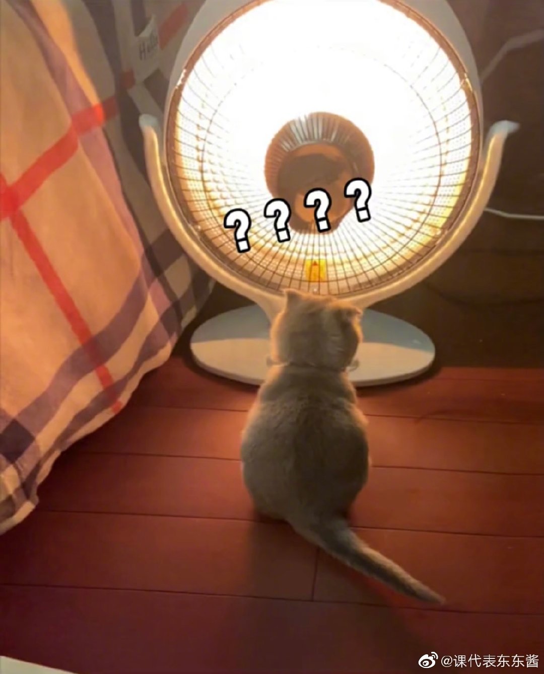 给小猫也配上小太阳