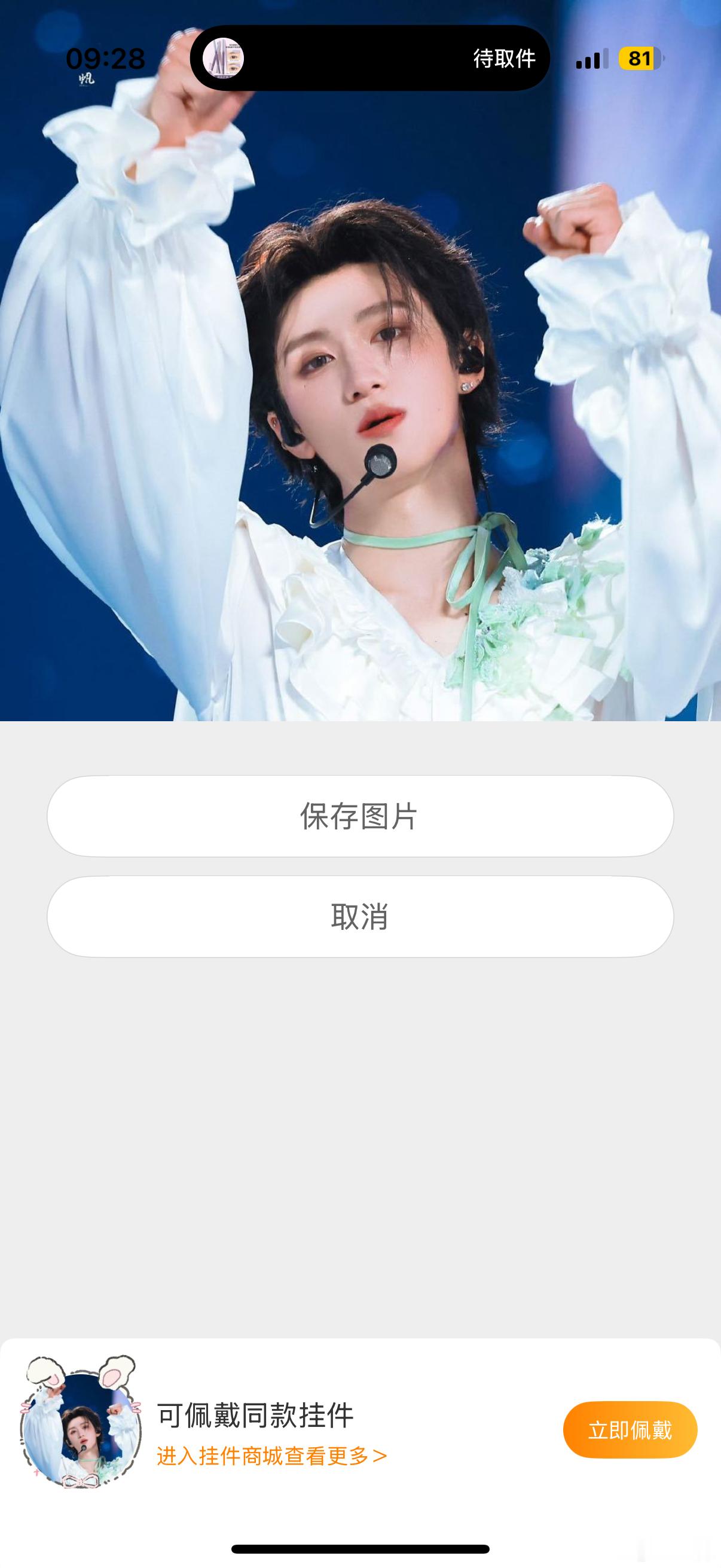 看到访问我主页的猪毛头像我一切都释怀了 