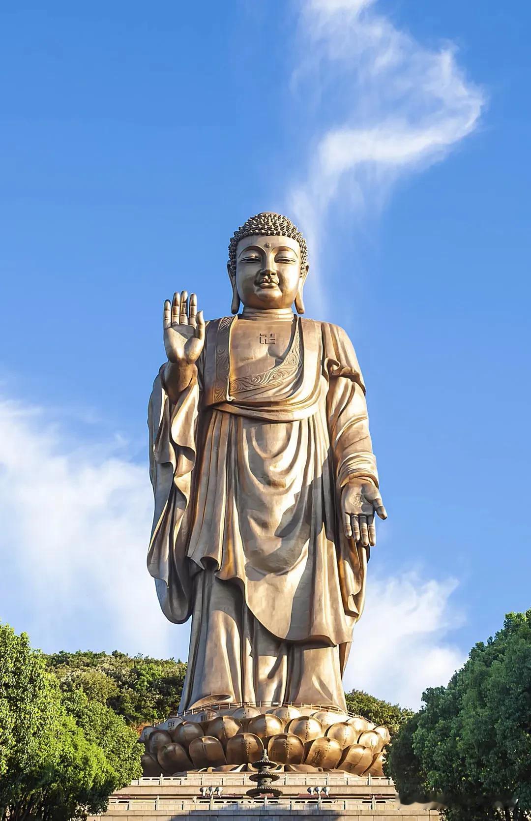 老人言，句句在理，受益一生。
印堂有肉凸出来，儿女之中出人才。
​​男阔金，女阔