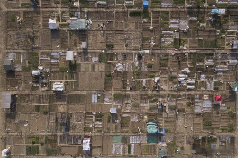 我理想中的老年生活，田园和都市各有千秋。田园生活简直是人间仙境，在乡下有个小院，