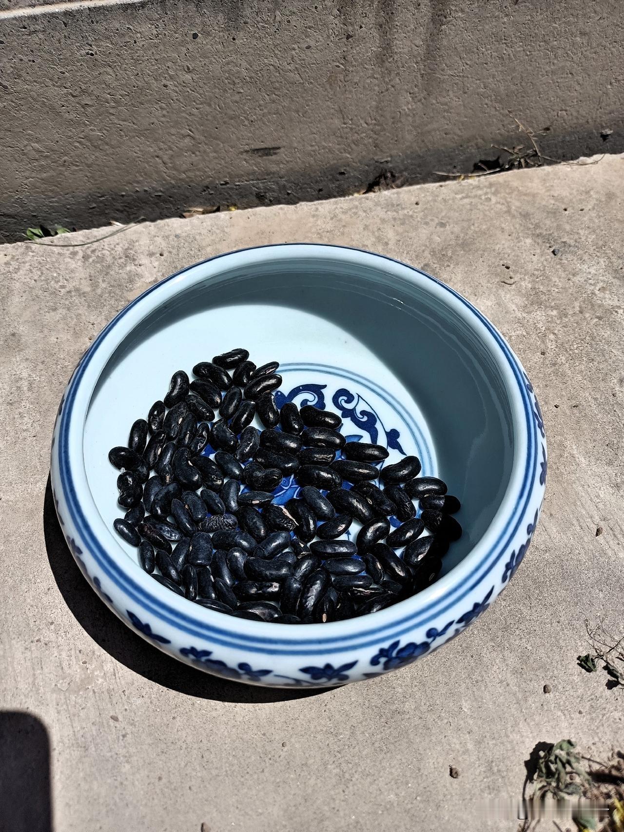 最近在家不是翻地，就是种瓜点豆。今天种几窝爬架豆角，管能不能出苗，并顺顺利利吃到