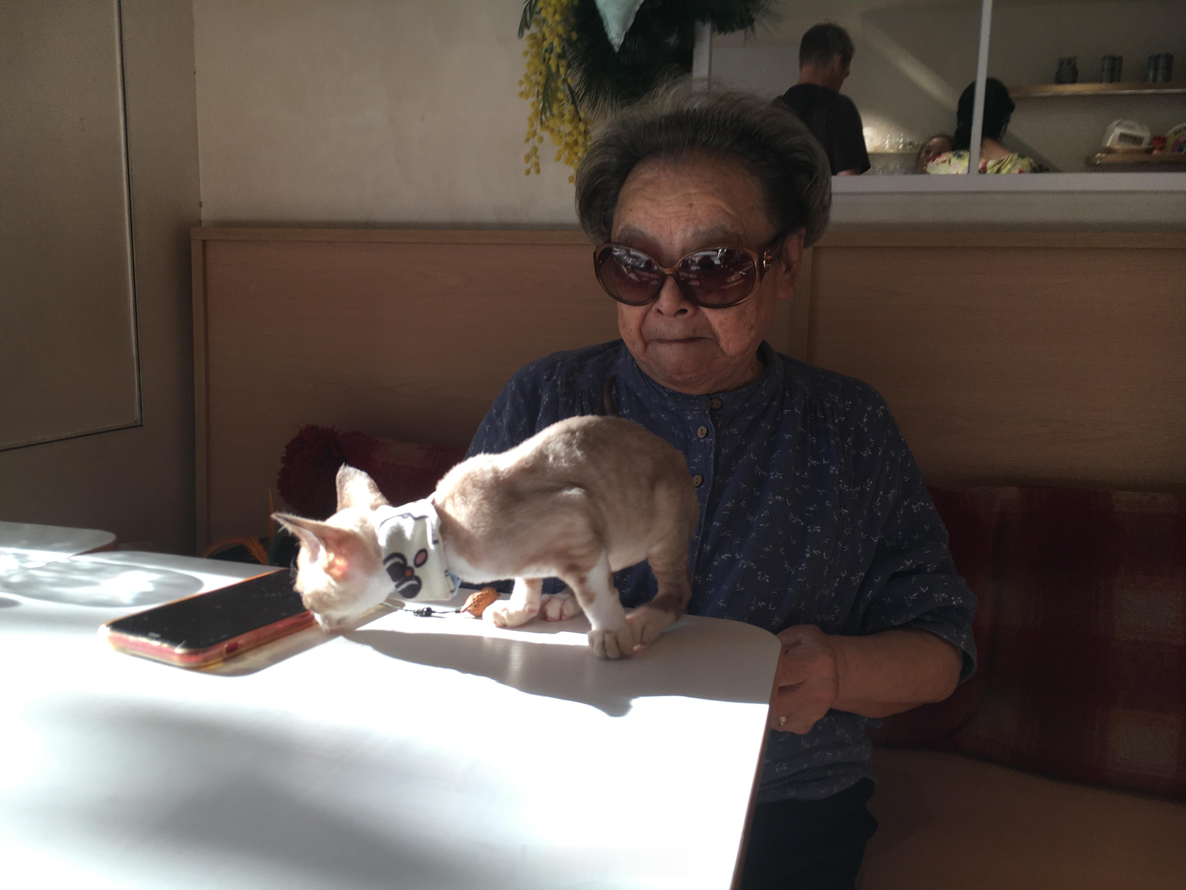 前两天在上海路过一家阿姨和奶奶开的咖啡厅 ，里面有两只小猫和一只小狗 ​​​
