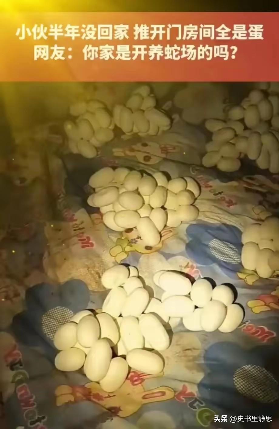 6月12日，一小伙整整半年没有回过家，最近，他返回自己久无人居的住处，用钥匙打开