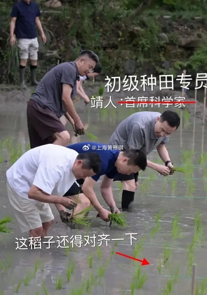 互联网大厂团建年年有，但能把团建做成“组织架构说明书”的，阿里算一个。近日，阿里