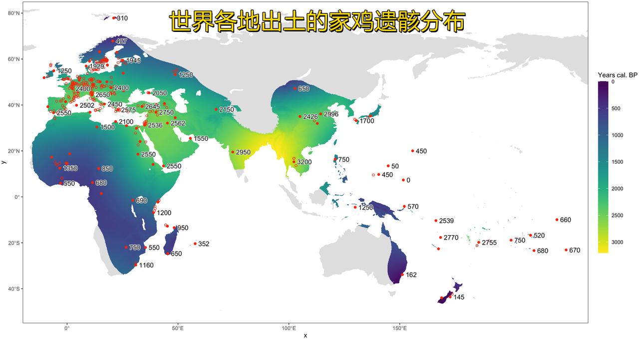 家鸡直系祖先是红原鸡，最早在东南亚北部被人类驯化，最初驯化多用于祭祀、斗鸡，并非