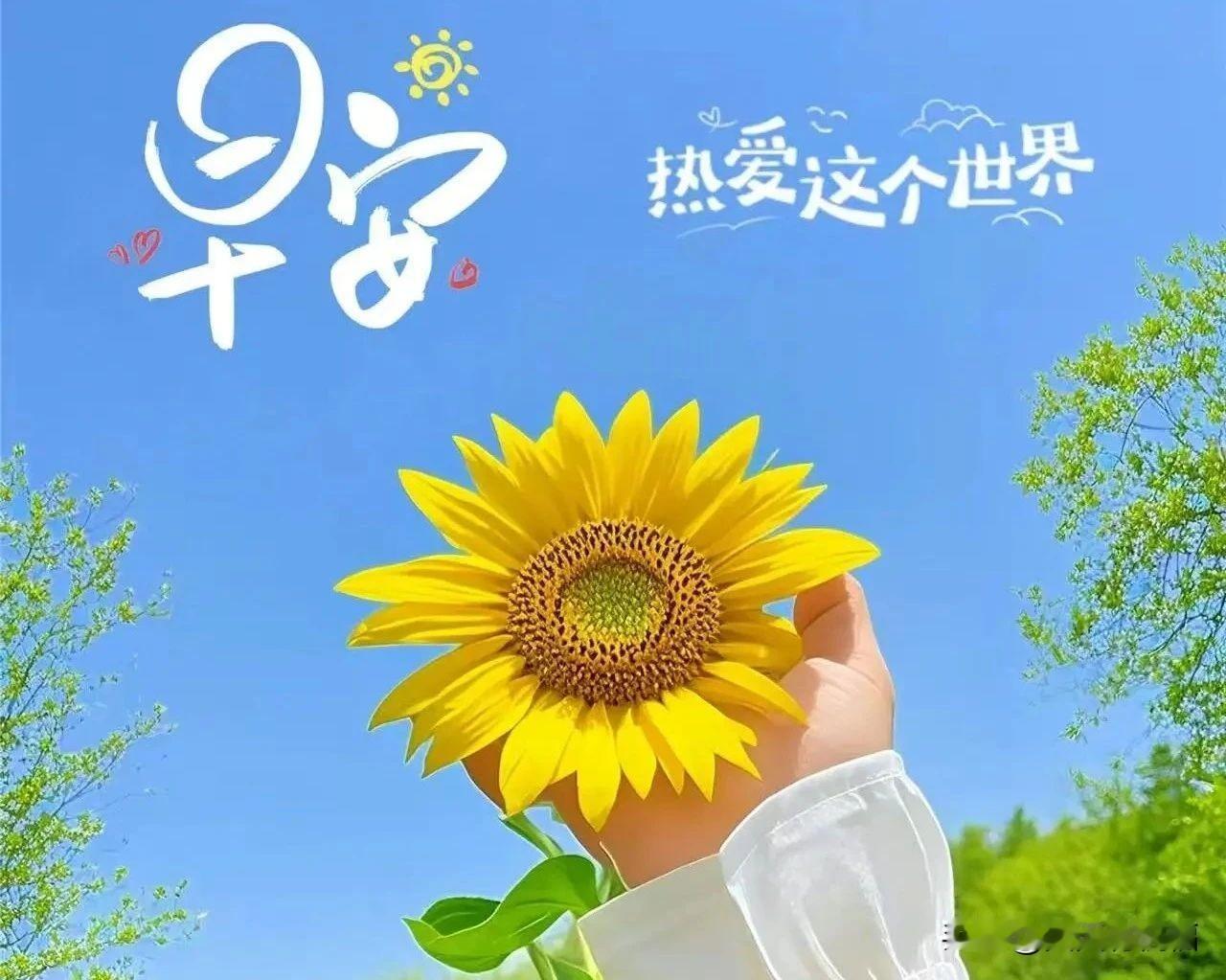 2月19日-今天最新版早上好祝福语图片，今日唯美早安祝福图片问候

🌻朋友们早