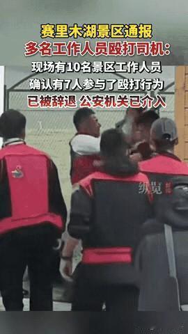 7个人打1个！
赛里木湖景区，你真牛！