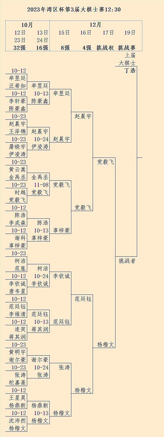 第3届大棋士赛：党毅飞、杨楷文将在17日争夺对现任大棋士丁浩的挑战权 #围棋#