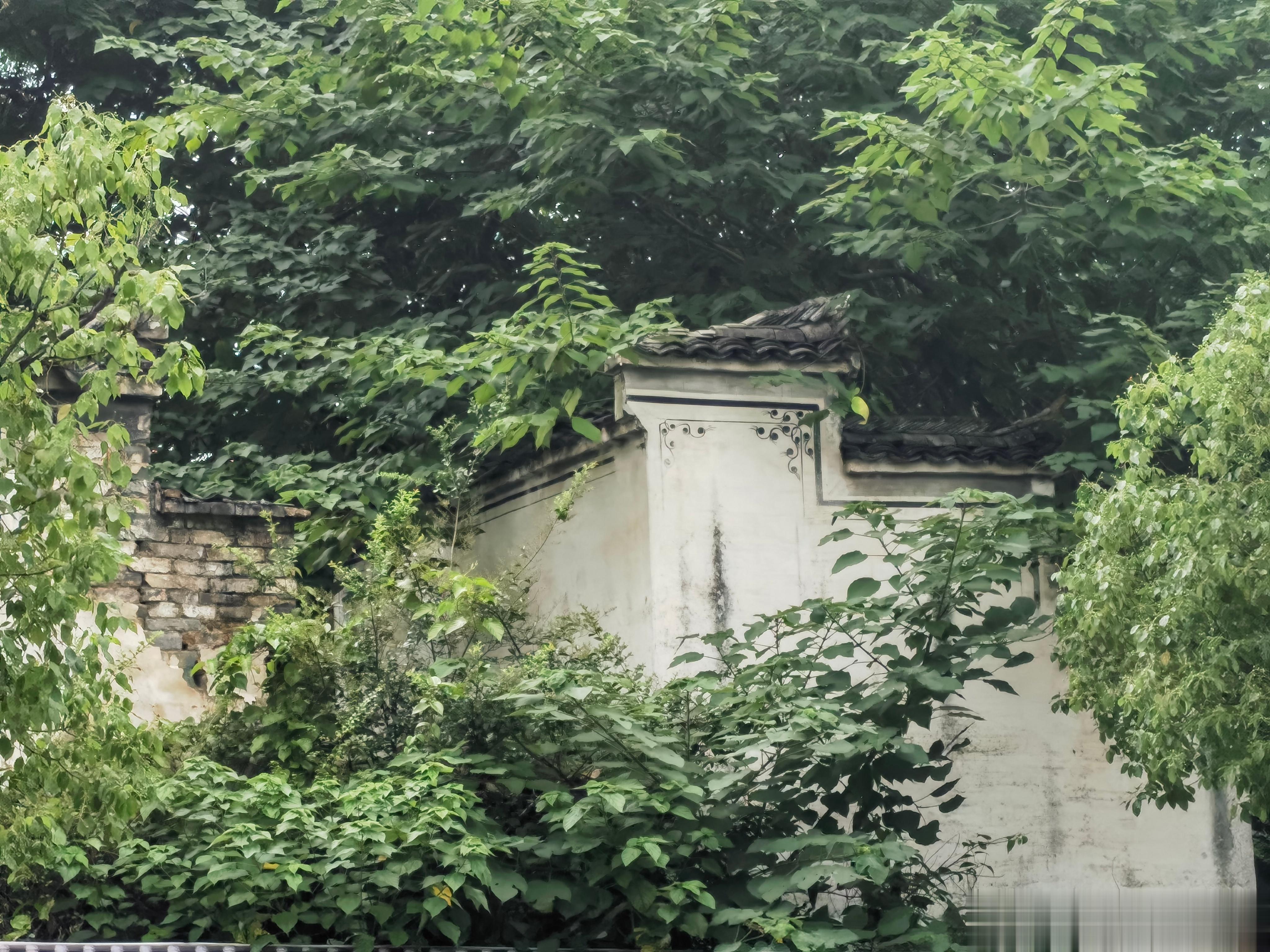 这栋也许大概未来会是一个小型博物馆#黄山[超话]# ​​​