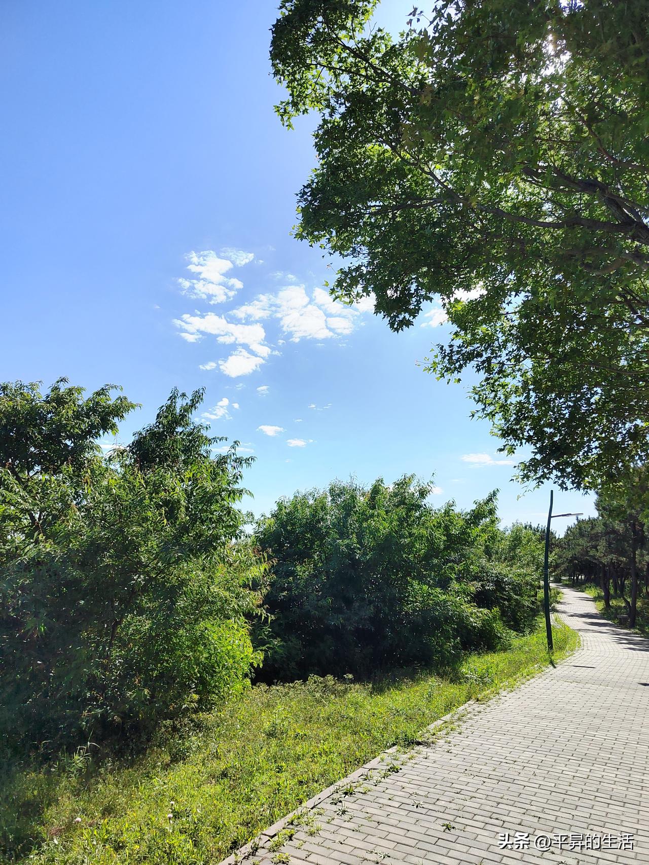 晒图笔记大赛北京的夏，没有江南的潮湿缠绵，是清透、辽阔、自带大气风骨的美。它热烈