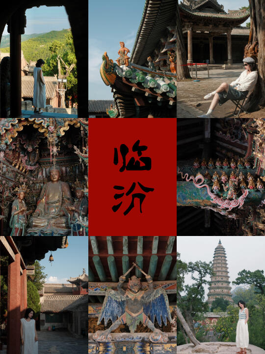 临汾刚回 ！能劝一个是一个……
