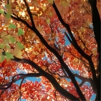 生活手记 墙倒众人推  你在我身后我无敌 