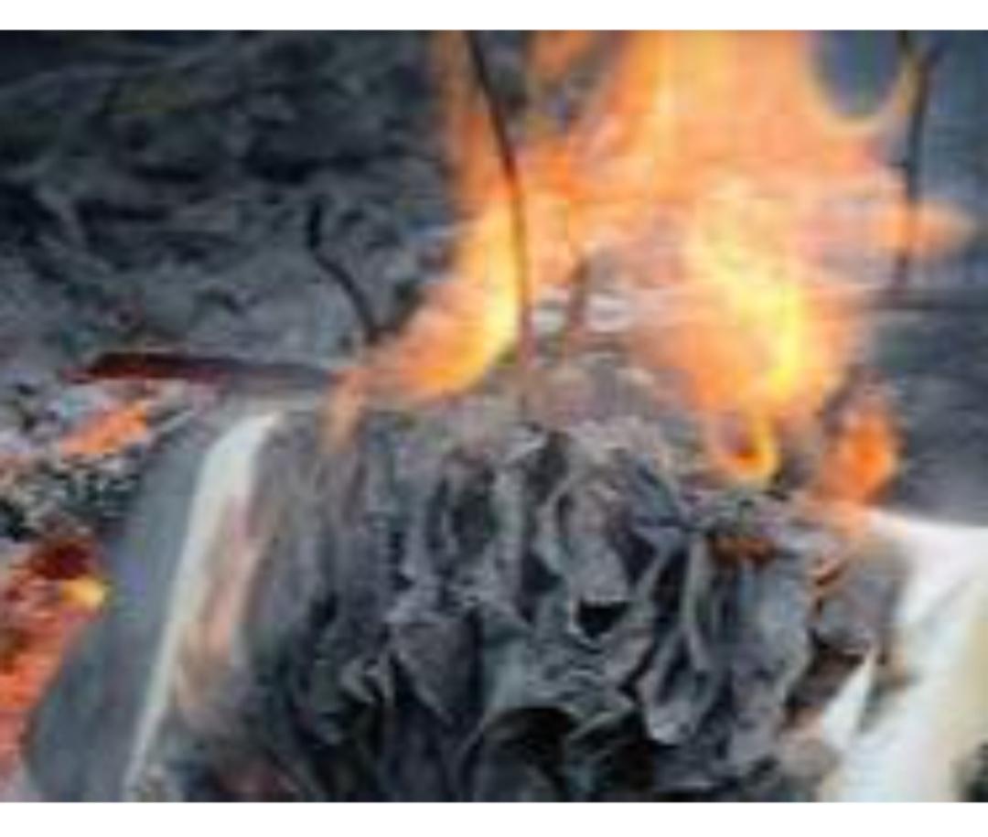 嘿，朋友们！今天咱们来聊一聊“焚书”的大事——江陵焚书事件。有人说：“焚书坑儒，