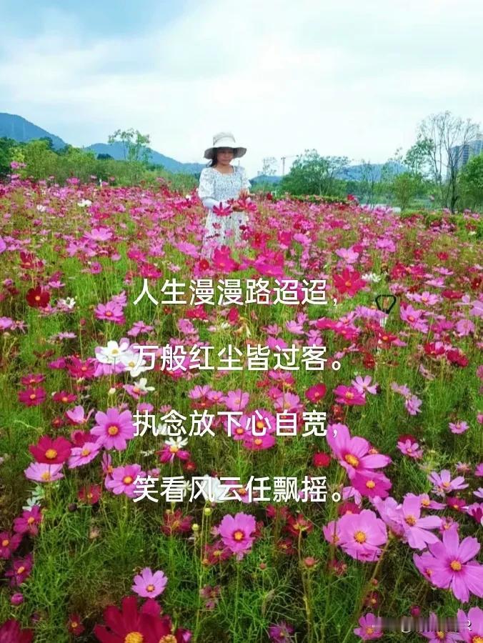 #秋日生活记录#人生，真的没什么放不下

在这个纷繁复杂的世界里，我们总是在不断