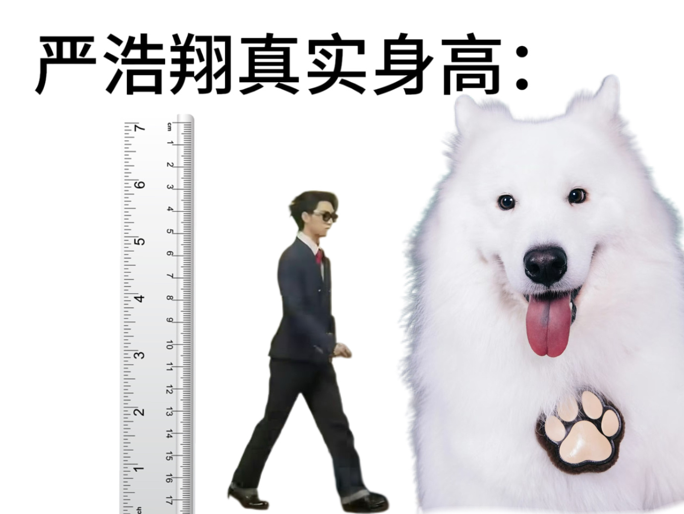 分享图片 