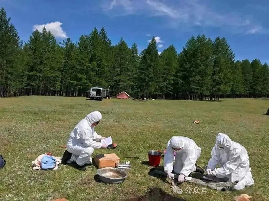 补充一下伊尔库茨克肺鼠疫的信息，虽然我对俄罗斯政府发布的相关信息一直保持怀疑，但