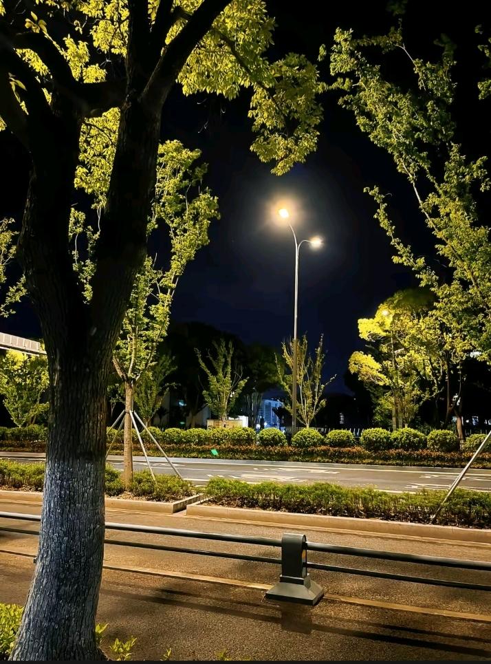夏天的话，会在晚上散步，温度到了晚上，不凉不热，走一走非常不错。