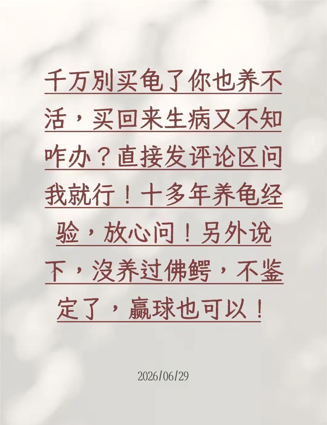 千万别买龟了你也养不活，买回来生病又不知咋办？直接发评论区问我就行！十多年养龟经