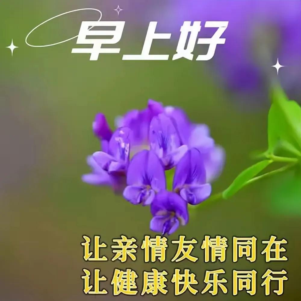 清晨一大早，
隔屏向你道一声
朋友们，早上好[祈祷]