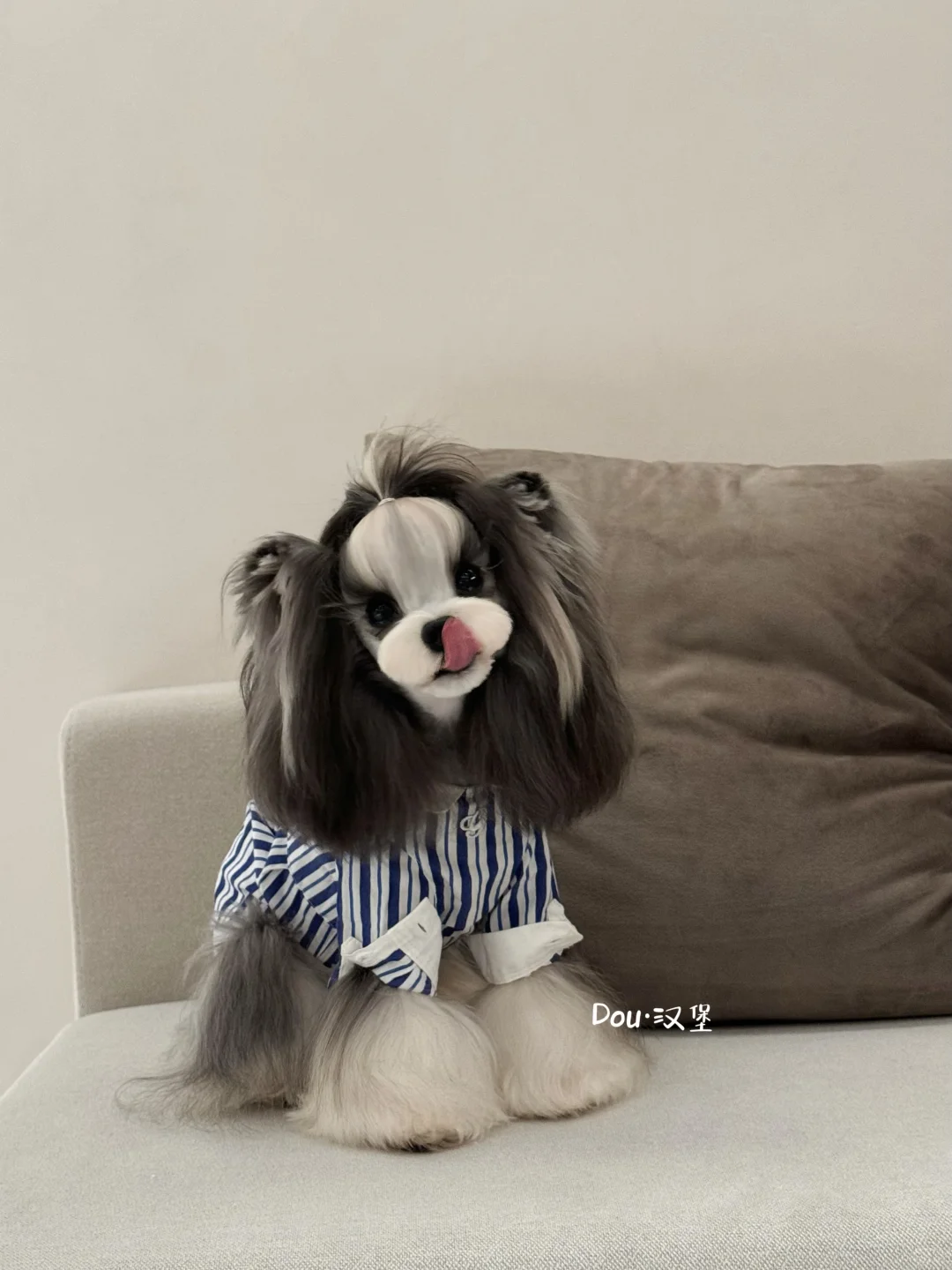 绅士小狗