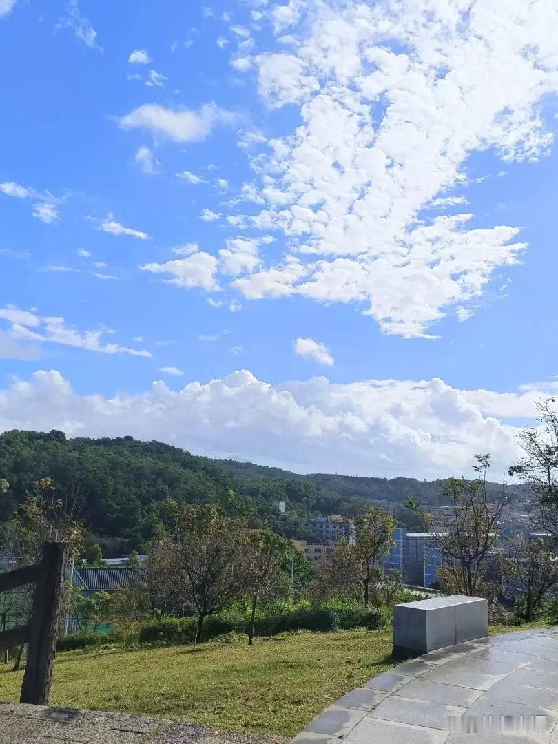 春日漫游指南｜同德公园跑步散步全攻略

🌸春风和煦的周末想找个静谧角落挥洒汗水