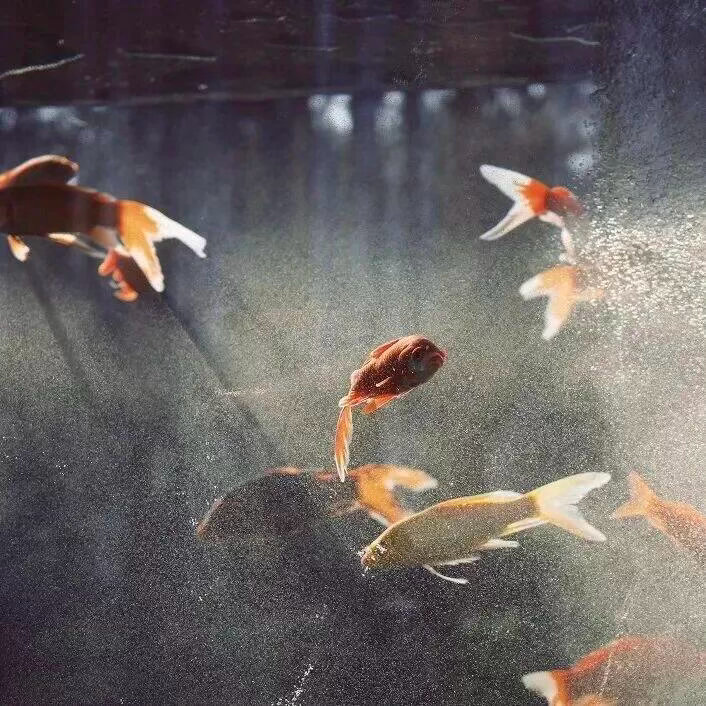 美感背景图 