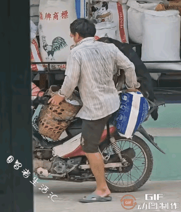 这个男子对毛孩子是真好，而且这个毛孩子也非常聪明，主人的一点点提示，他就知道该做