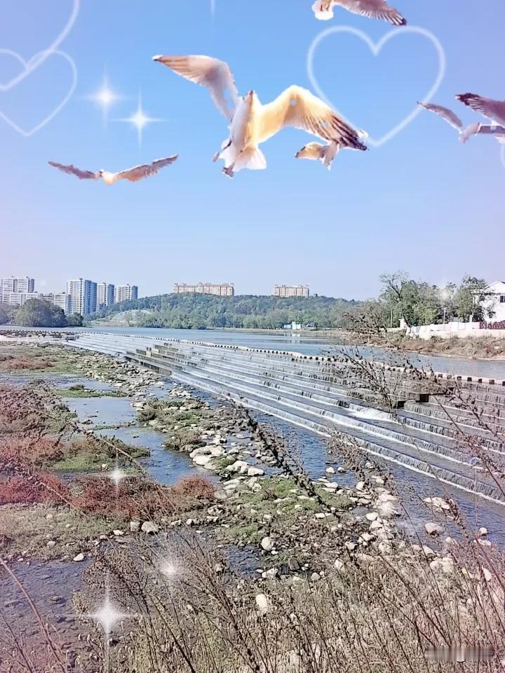 晒图笔记大赛江山港