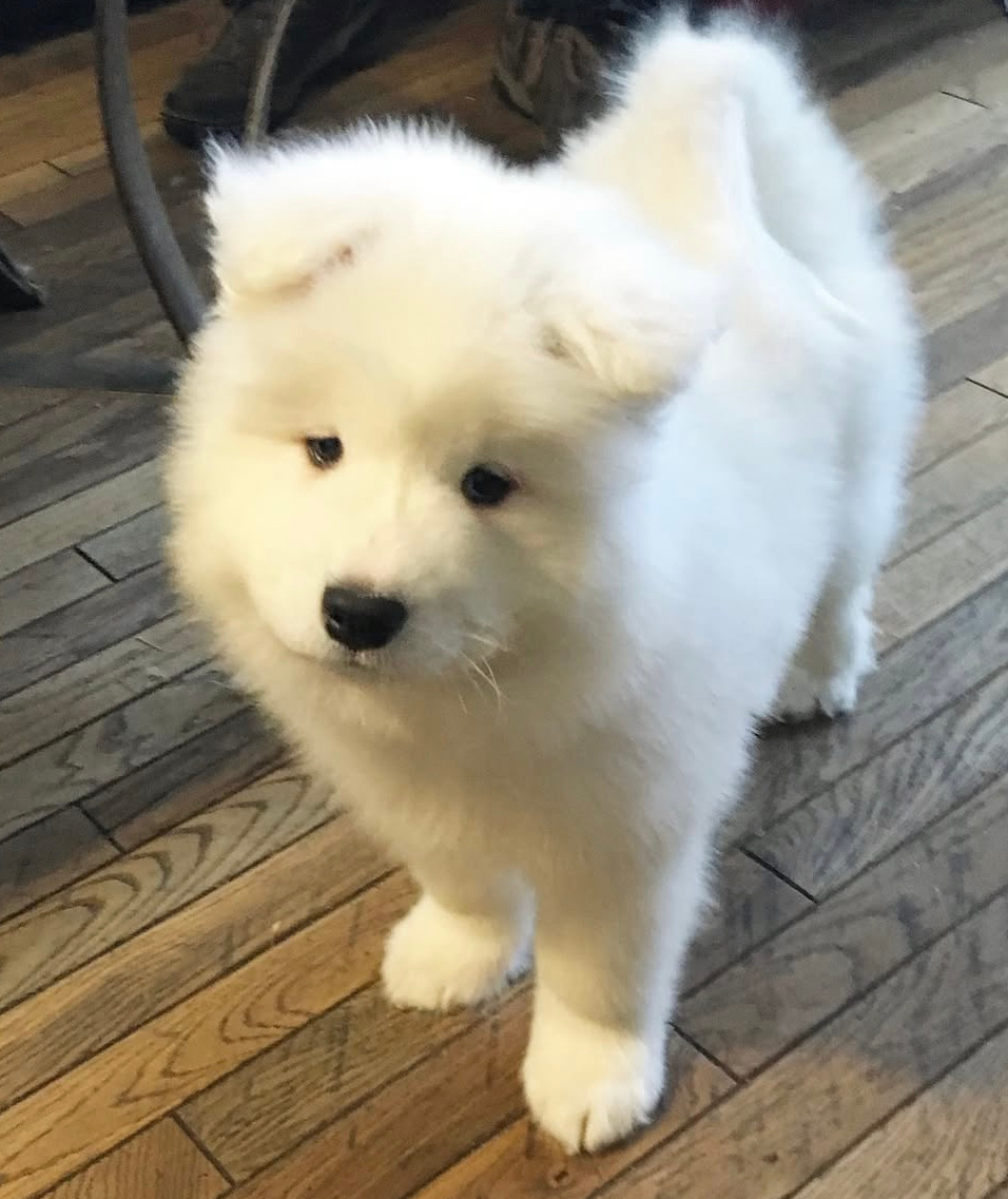 说吧，为什么又是最后一个来接我的，是不是又在门口小吃摊吃上了耶？ ​​​
