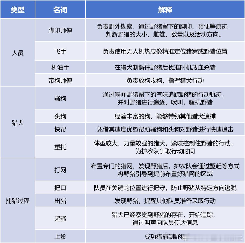 野猪护农队成为一门新兴职业 专业护农队的人员配置有相当细致的划分，有负责查看野猪