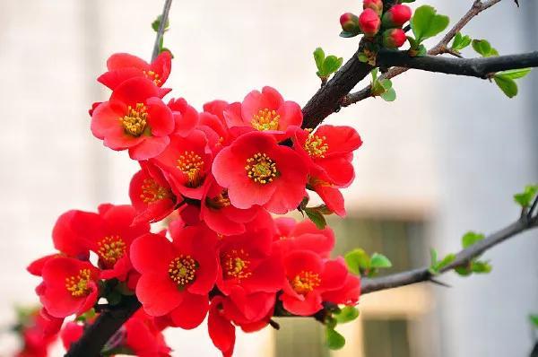 下周行业重磅会议前瞻：市场机会与风险探讨！
据媒体消息，下周即将召开的行业重磅会