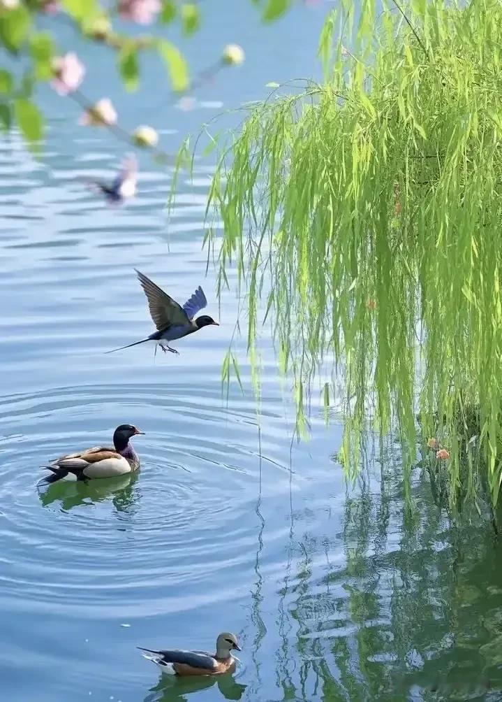 《临江仙·畅意浮生》

心若悠然尘烦尽，
眼前鸟语花香。
身安体健福绵长。
前程
