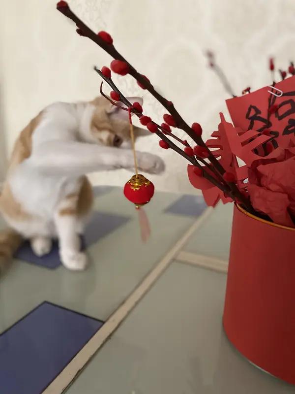 新年爱好打卡，简直是开启新年的超棒方式！我选了绘画和跑步这俩爱好。绘画上，我设定