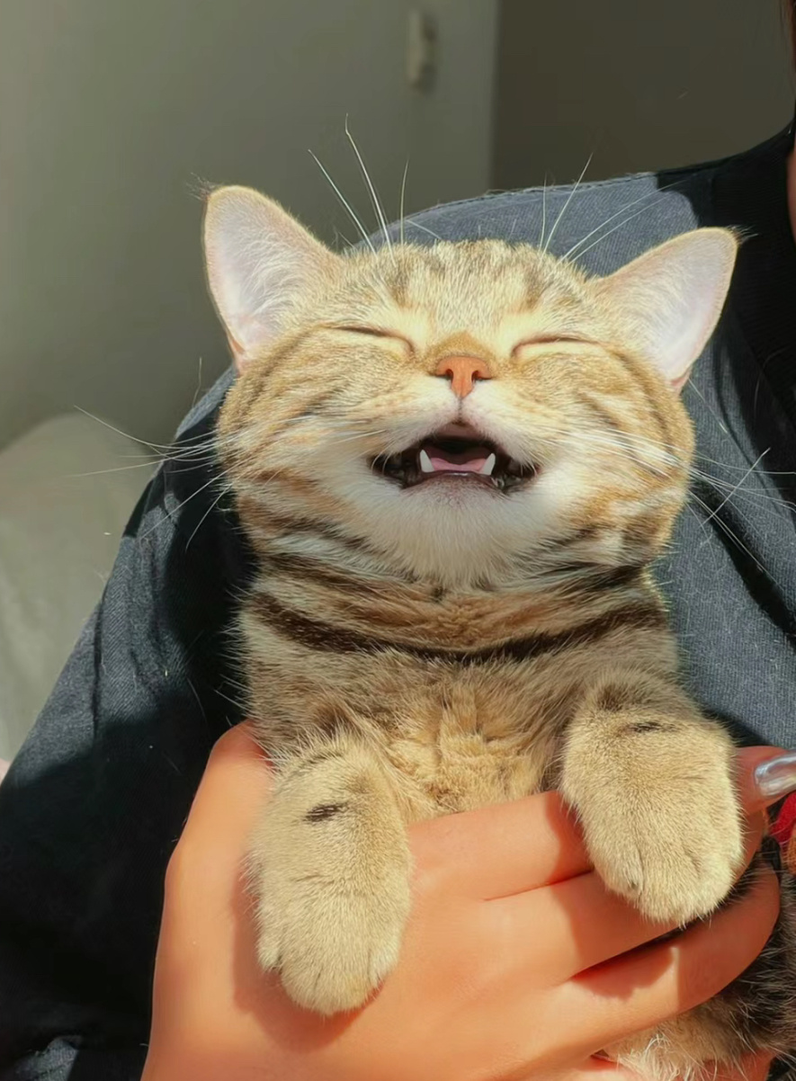 喜欢看你笑><