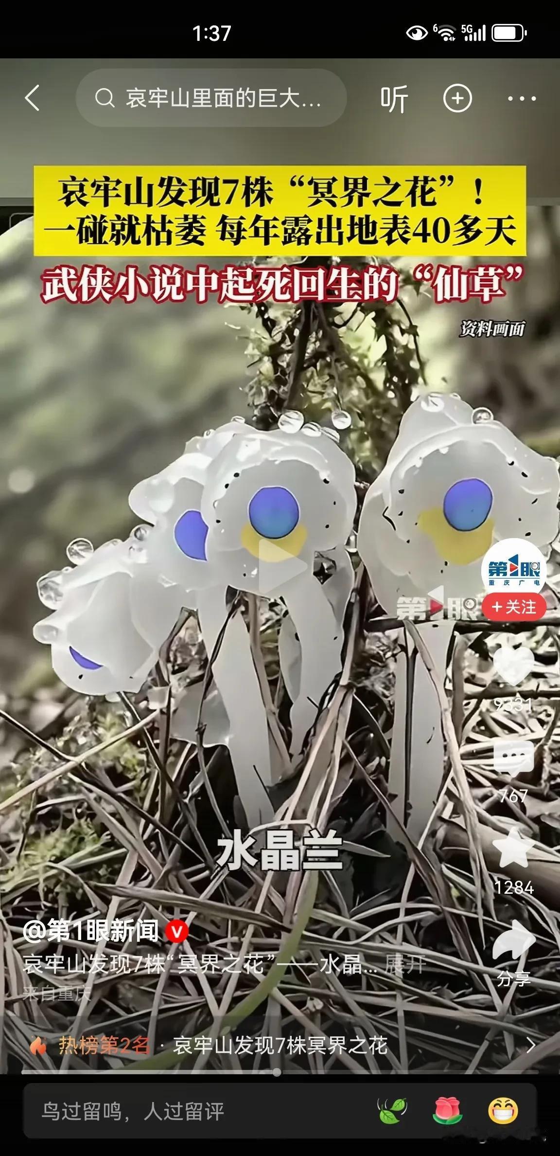 好神奇的花，非常稀有
专家在云南哀牢山发现了7株
被称为“冥界之花”，武侠小说中