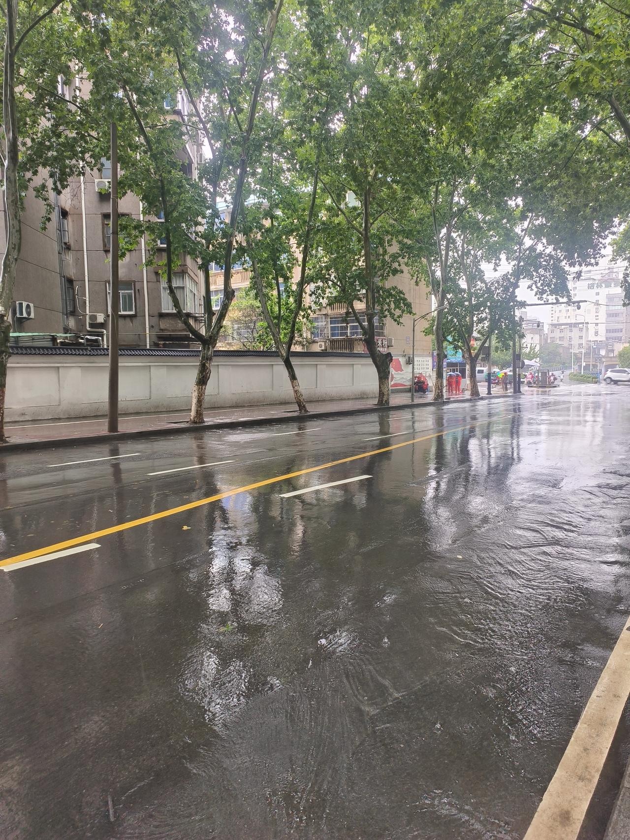 雨下的很大，路面积水很多，走在马路边很不好走，来来往往的车不少，有的车见有行人便