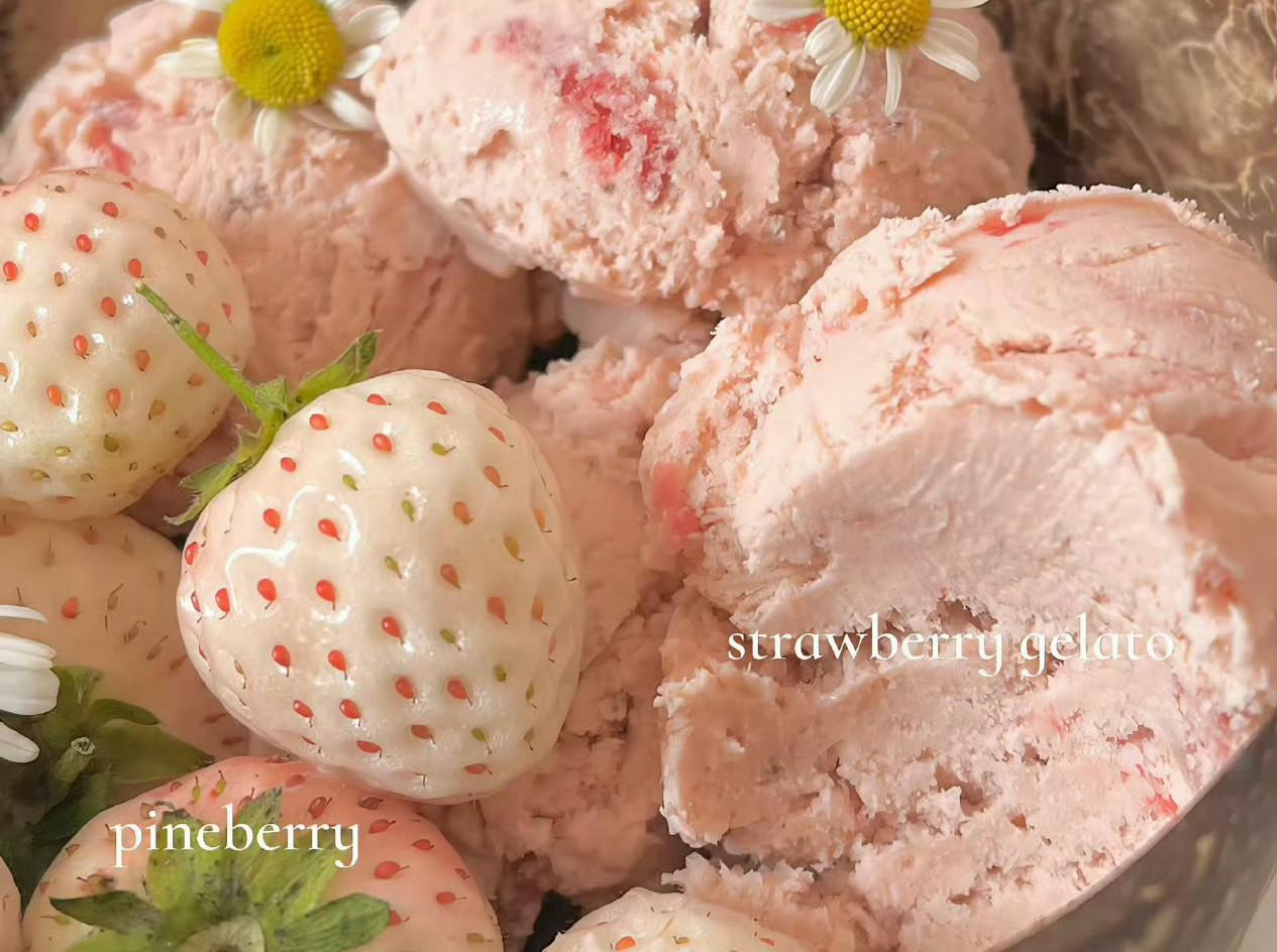 快来看看我新换的主页背景吧