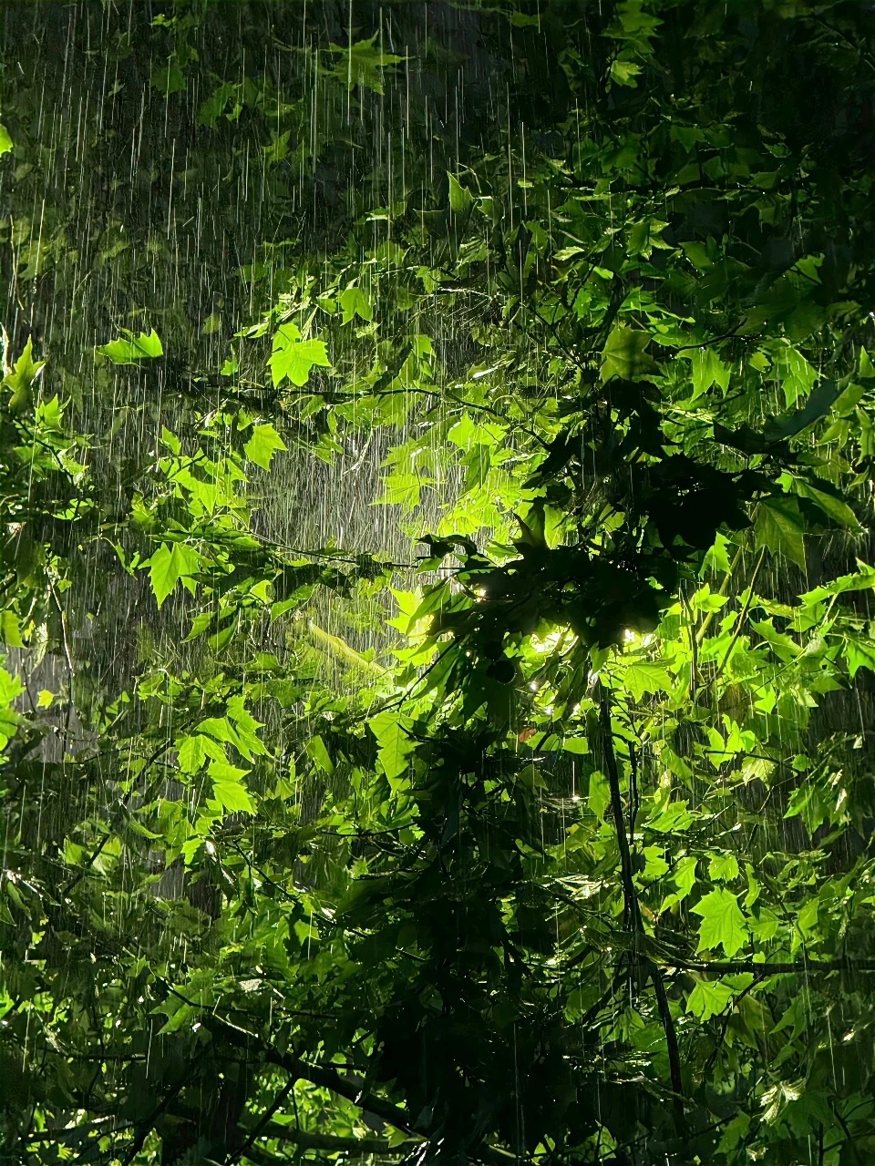 好好生活，慢慢相遇，一切都刚刚好。 
