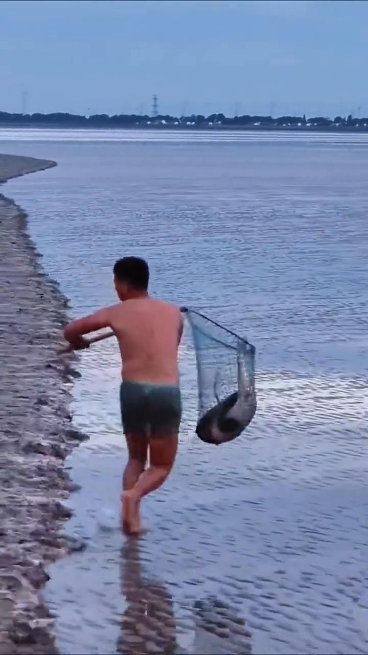 咿呀，嘿，猪啊腰啊，海口花。