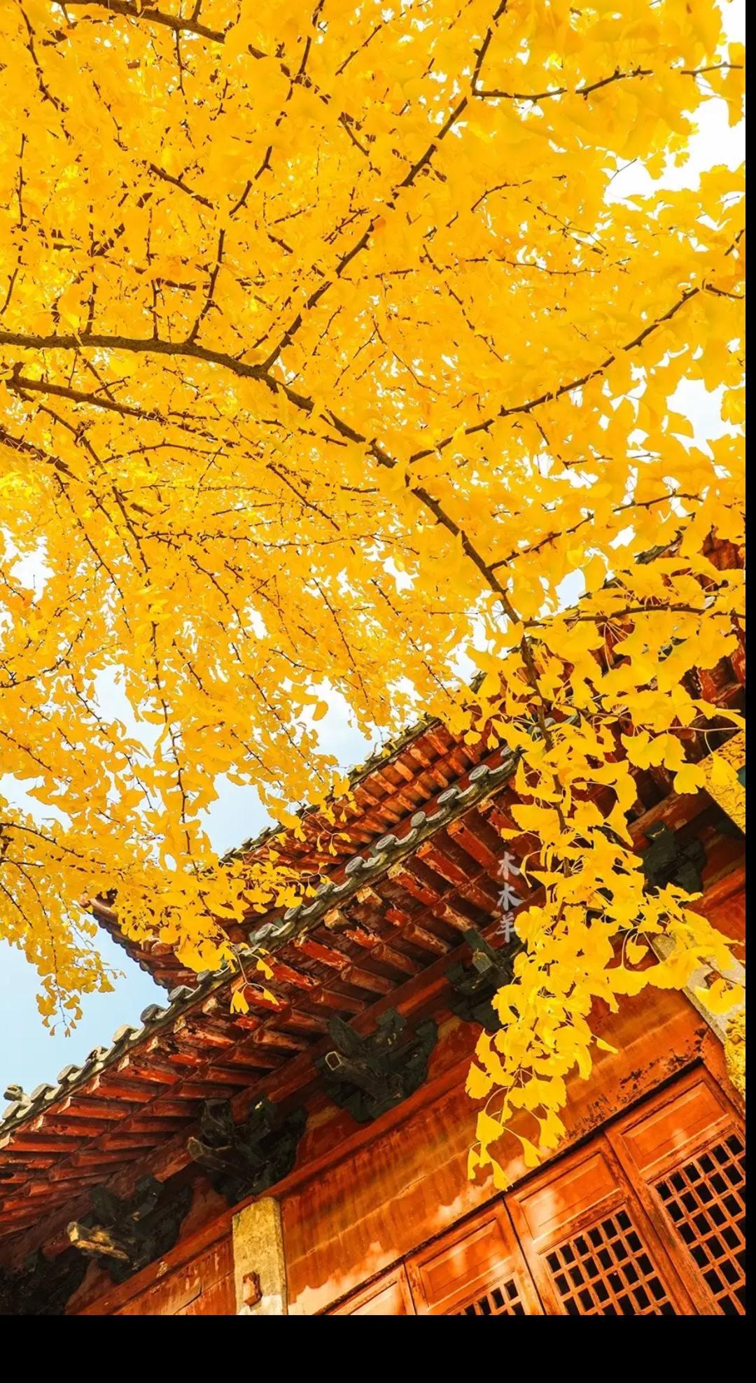 纪录美好生活 最美景色