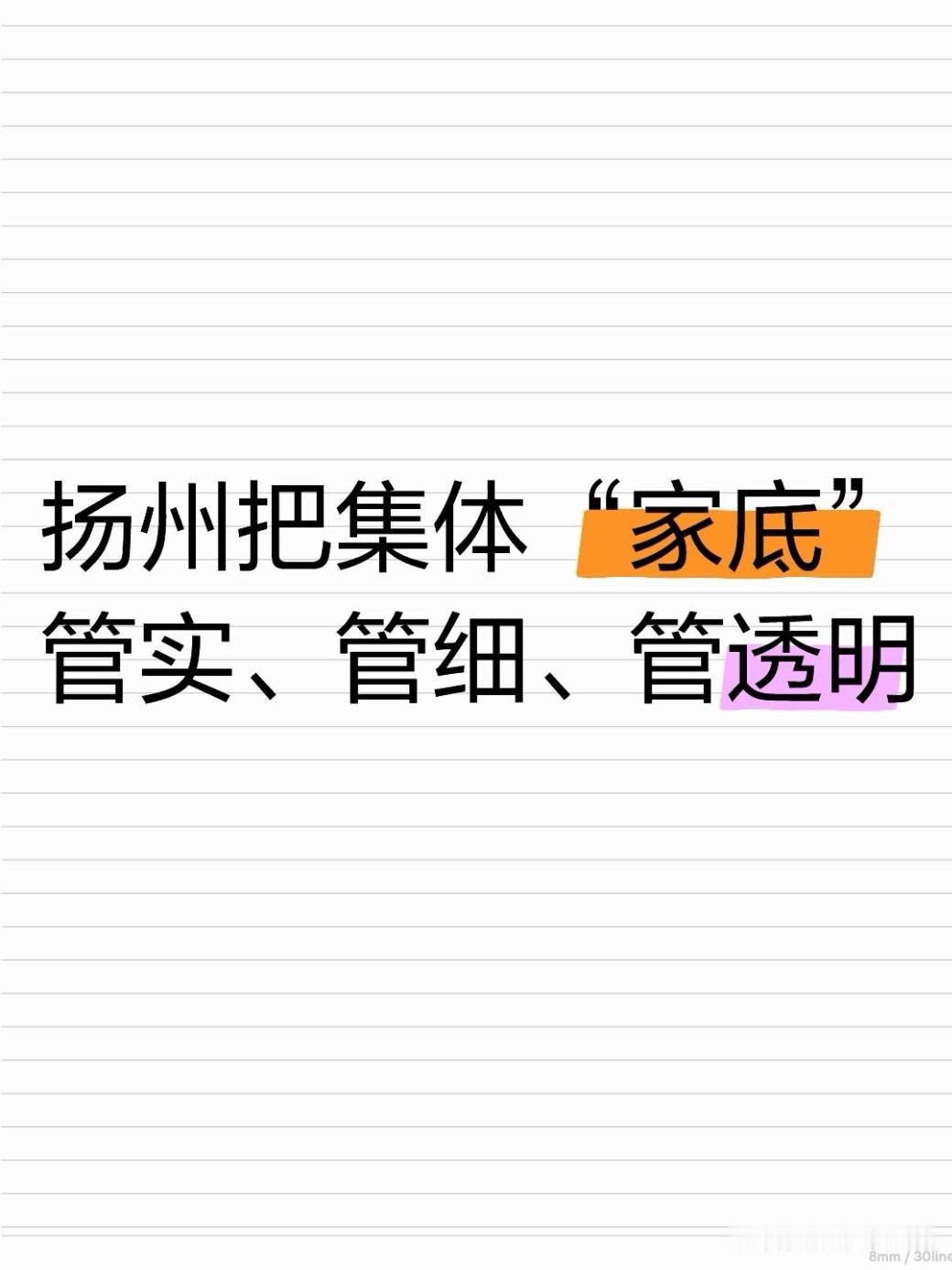 近日，扬州市副市长陈骏带队来到高邮，实地调研督导农村集体“三资”清查核实工作。调