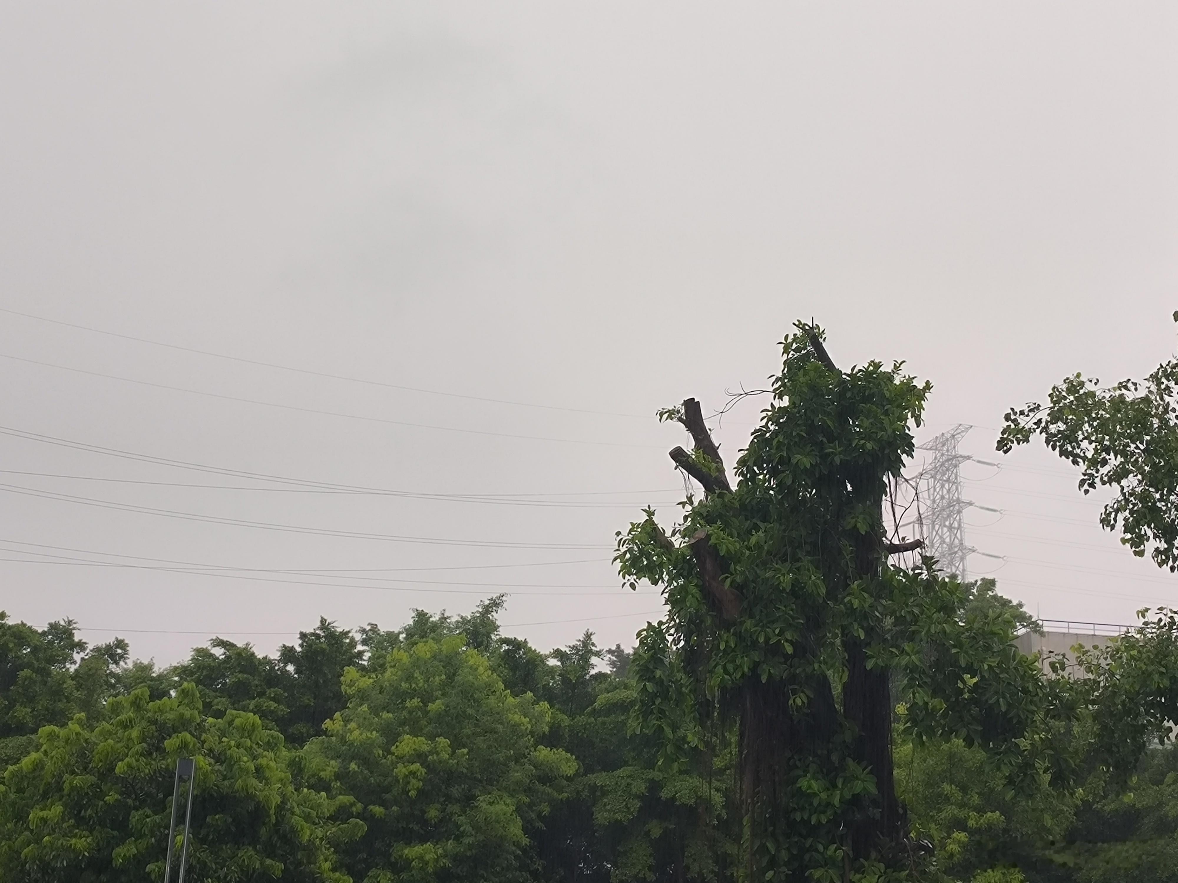 又是台风暴雨天。 ​​​