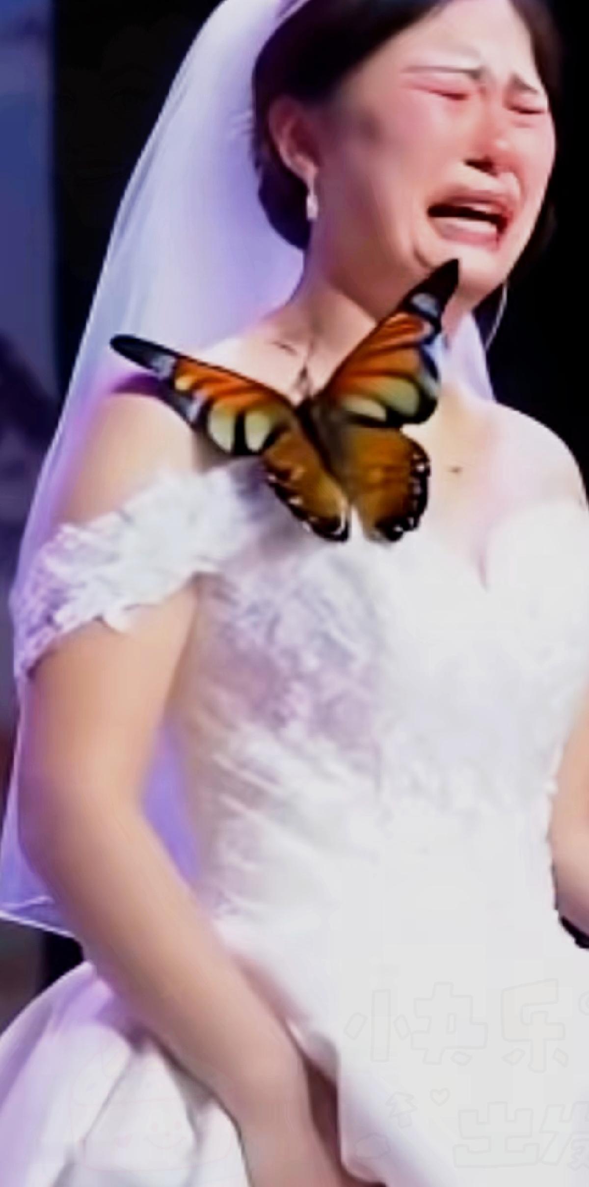 看哭了！孙女结婚当天，一只蝴蝶稳稳停在她胸前，她哭着问“奶奶是你吗”，蝴蝶竟轻轻