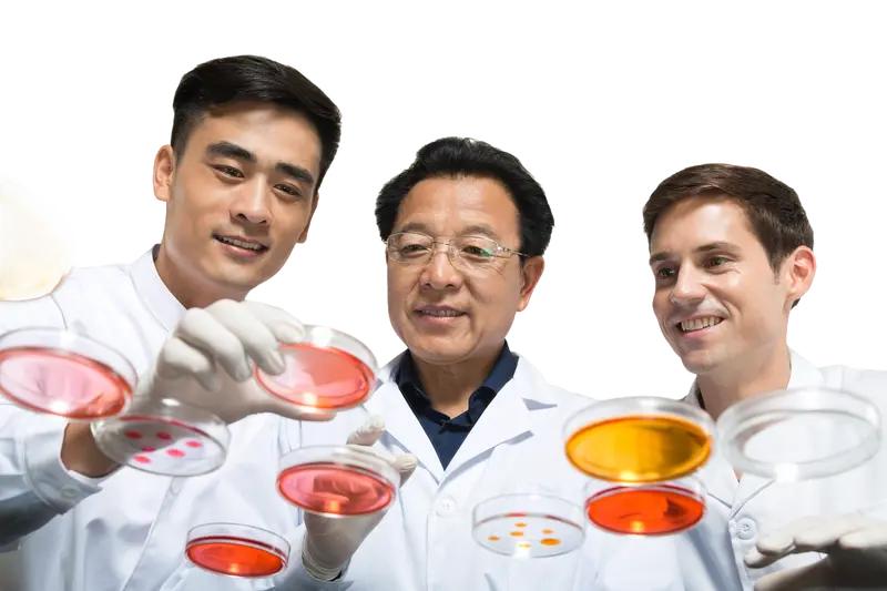 我国科研团队又有大动作！黑龙江大学、清华大学和新加坡国立大学合作成果在《Natu