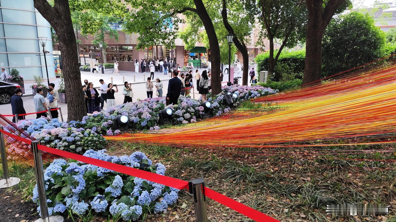 公园美丽景随拍五彩滨纷扮天地