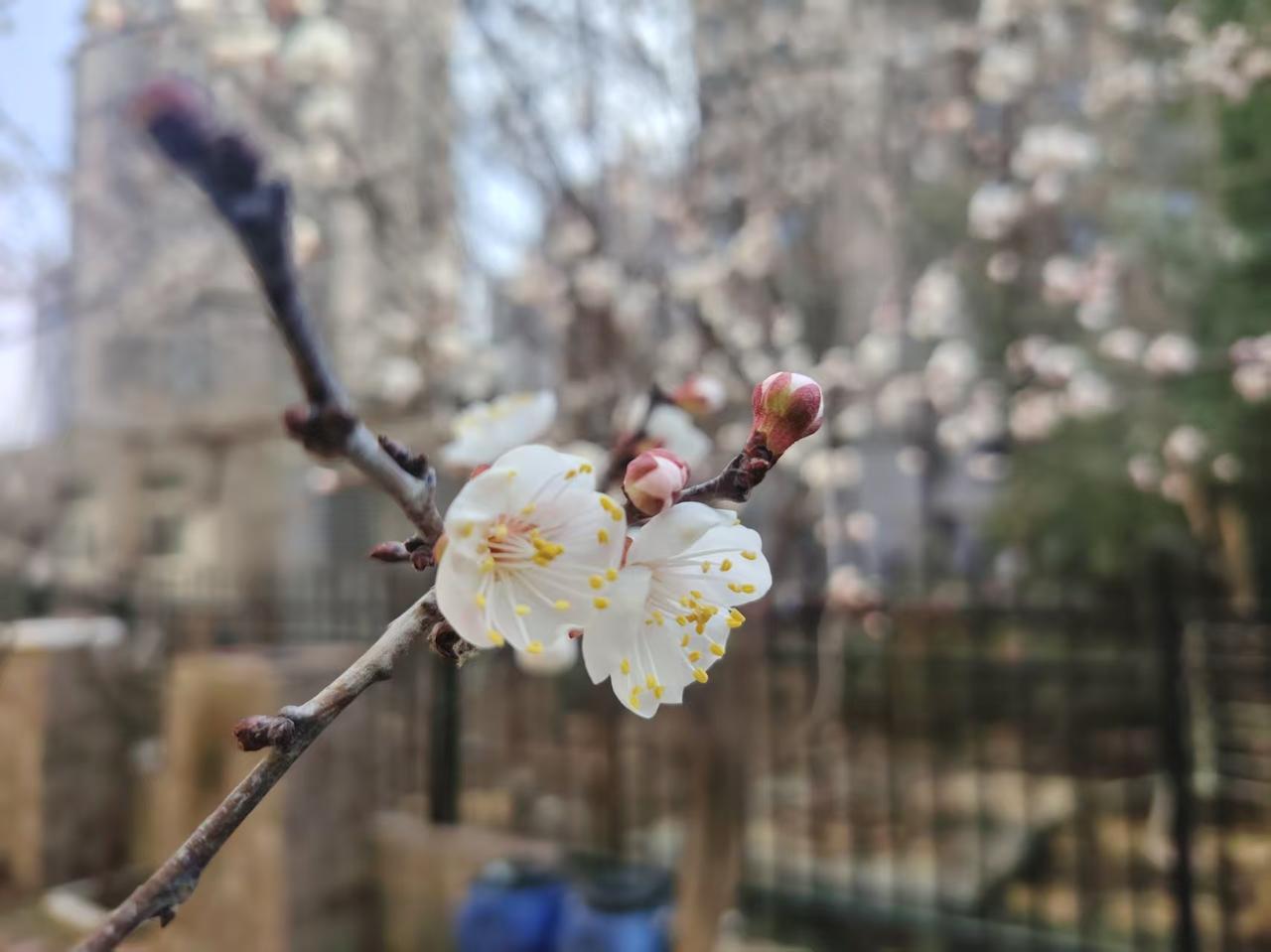 告诉你一个扎心的真相，一个小牛马是永远也干不过公司的！我们来青山园区上班，最早的