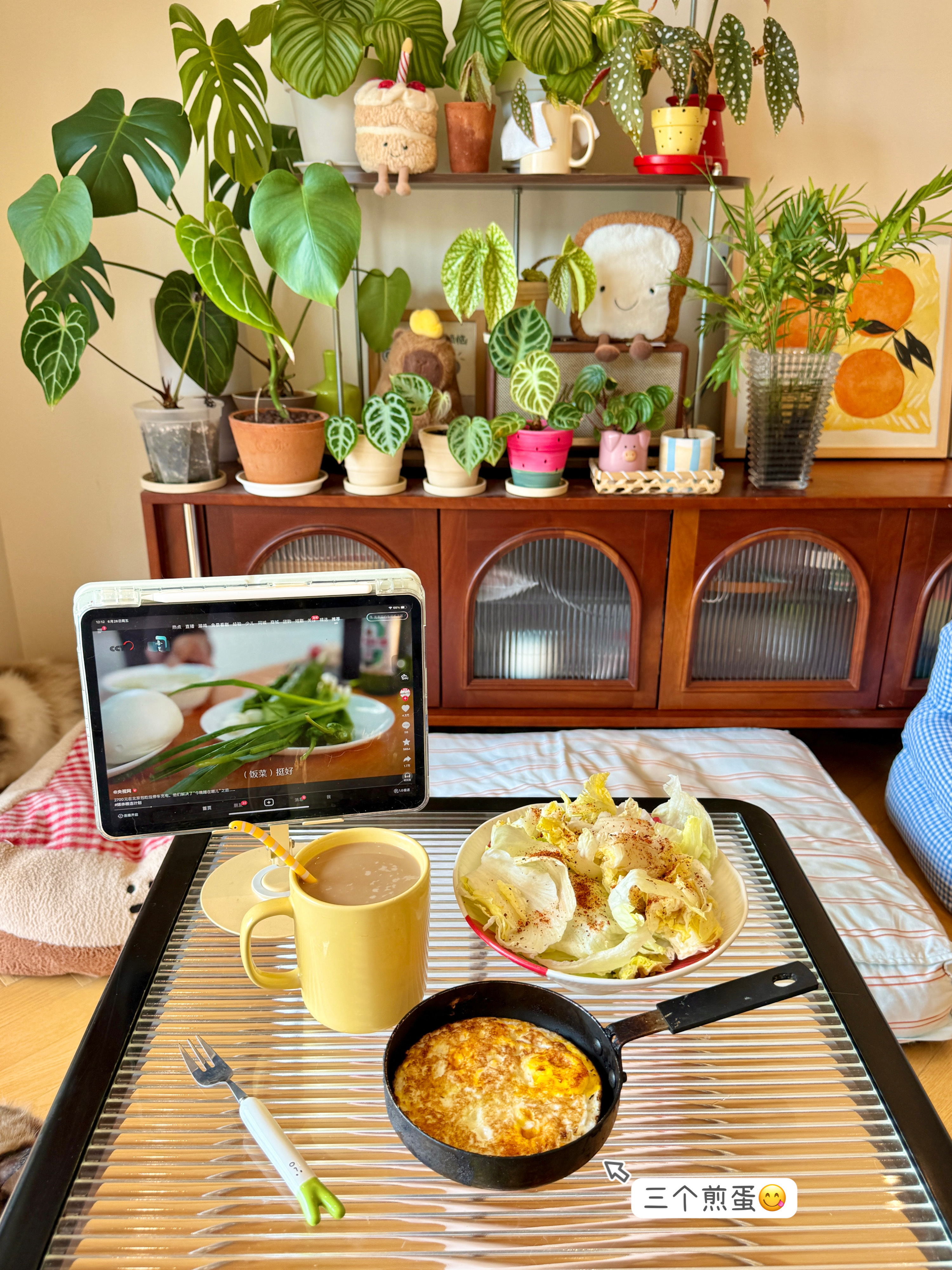 🍴🍳☕️芥末味的夏天🟡哈哈～ 