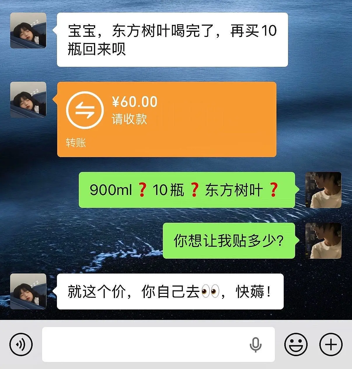 东方树叶破价啦，900ml大容量，到手10瓶巨划算！